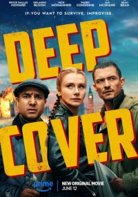Под прикрытием (2024)